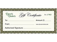 Gift Certificate Gift Certificate